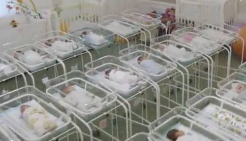Ora i Dem scendono in campo: "Regolamentiamo l'utero in affitto"