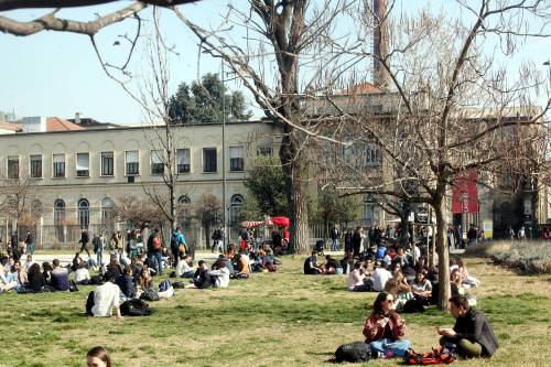 Cosa c’è davvero dietro lo scontro tra Trump e le università americane
